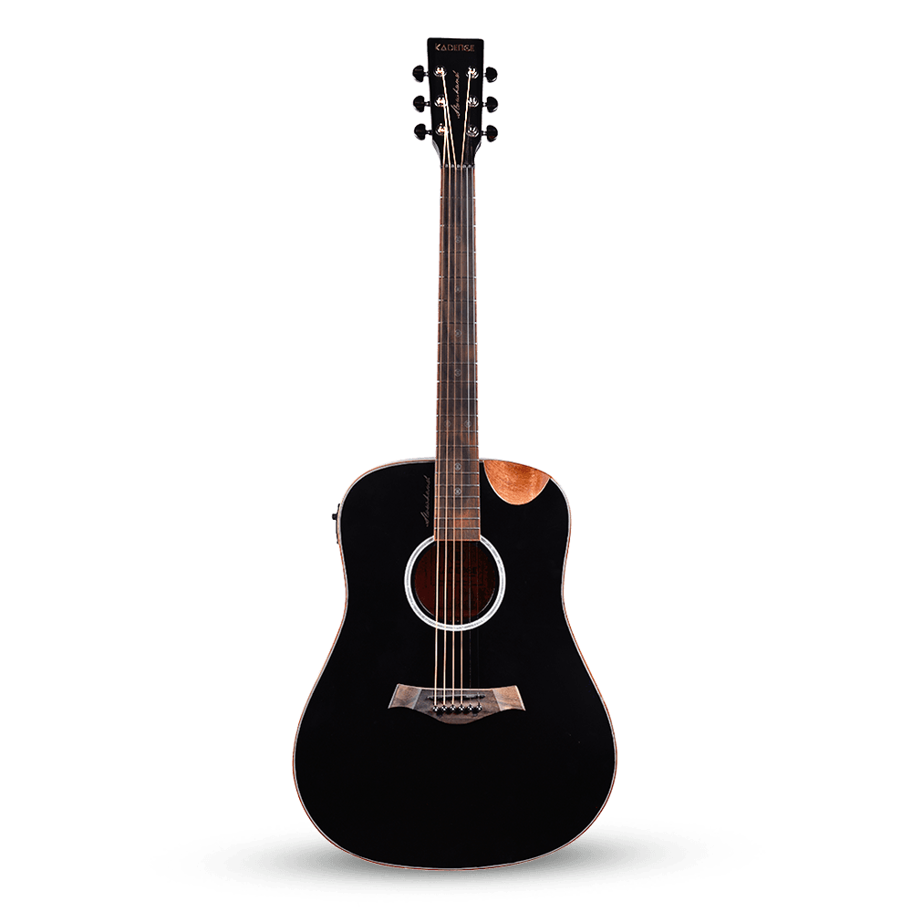 Electro Acoustic